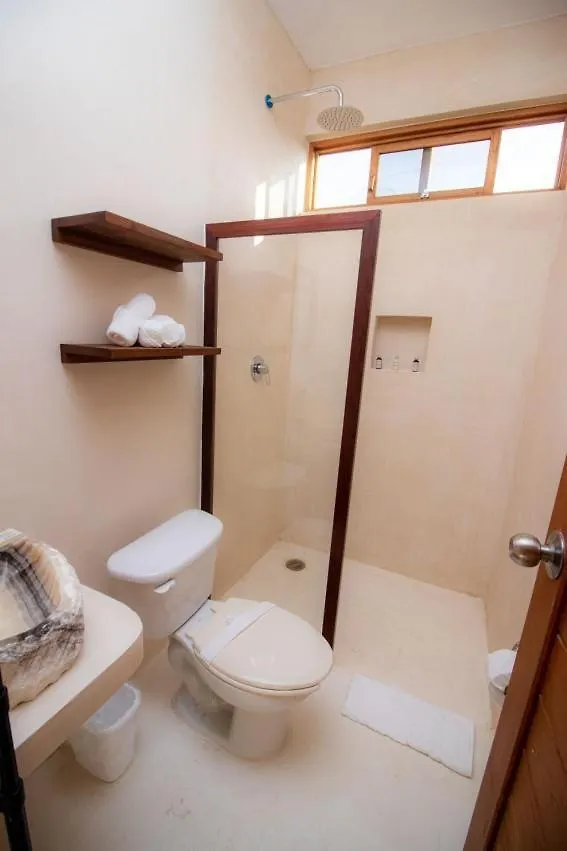 Hotel En Isla De Holbox
