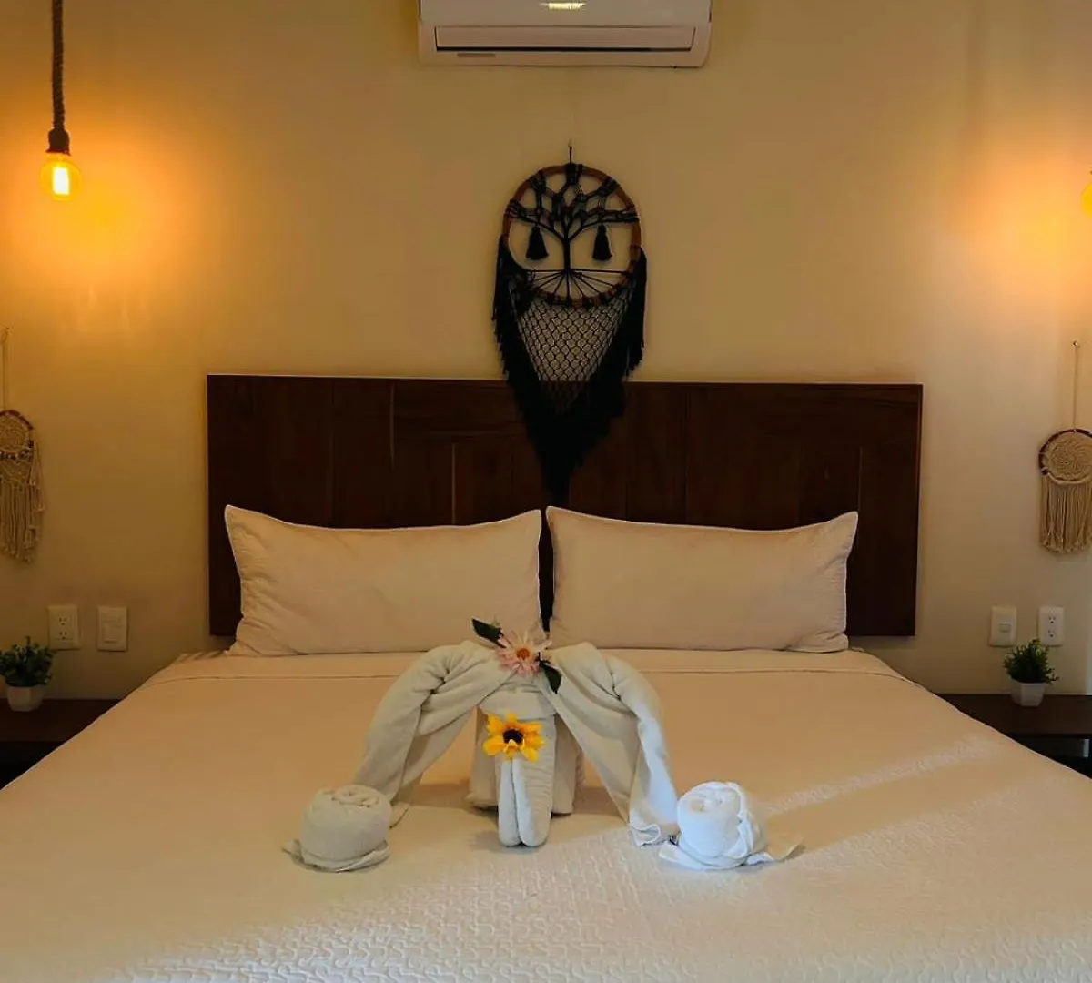 ***  Hotel En Isla De Holbox Mexico
